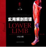 实用解剖图谱 下肢分册