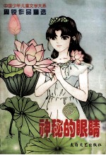 神秘的眼睛 周锐作品精选