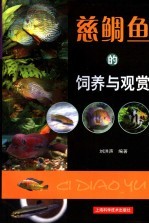 慈鲷鱼的饲养与观赏