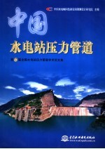 中国水电站压力管道 第六届全国水电站压力管道学术论文集