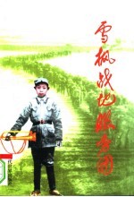 雪枫战地服务团
