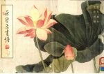 荣宝斋画谱 47 花鸟部分