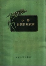 小麦田间管理技术