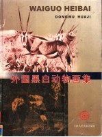 外国黑白动物画集