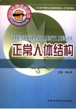 正常人体结构