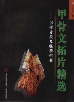 甲骨文拓片精选 书体分类及临摹指要