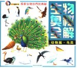 生物奥秘全解 动物篇 鸟类