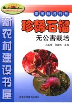 珍稀石榴无公害栽培