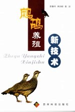 鹧鸪养殖新技术