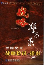 战略警示录 中国企业战略检讨与指南