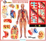 生物奥秘全解 人类