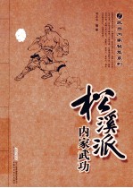 松溪派内家武功 经典珍藏版