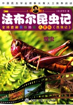 法布尔昆虫记 蝗虫 儿童版