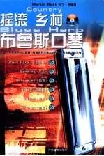 摇滚 乡村 布鲁斯口琴
