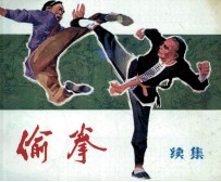 偷拳 续