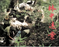 林中迷案