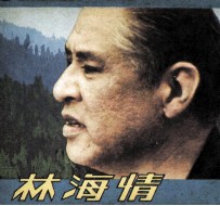 电影连环画册 林海情