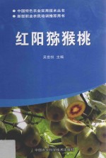 红阳猕猴桃