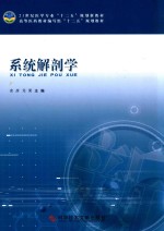 系统解剖学