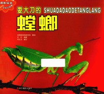 乐乐小动物丛书 耍大刀的螳螂