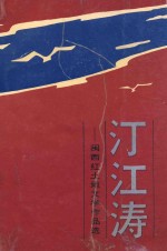 汀江涛 闽西红土地文学作品选