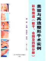美容与再造整形手术实例彩色图谱 躯干、会阴及四肢分册