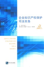 企业知识产权保护司法实务