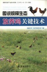 图说规模生态放养鸡关键技术
