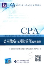 2018年注册会计师全国统一考试辅导系列丛书 公司战略与风险管理应试指导