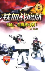 铁血战鹰队系列 浴血,金鹰战斗机!