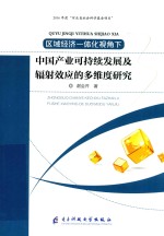 区域经济一体化视角下 中国产业可持续发展及辐射效应的多维度研究