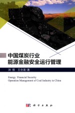 中国煤炭行业能源金融安全运行管理