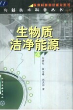 生物质洁净能源