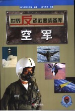 世界反恐武器装备库 空军