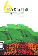 六万片绿叶 中国'99昆明世界园艺博览会青年志愿者行动纪实