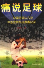 痛说足球 中国足球队六次冲击世界杯决赛圈纪实
