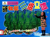 新视觉三维立体 蓝宝石