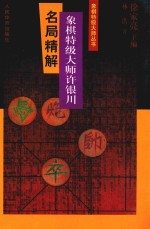 象棋特级大师许银川名局精解