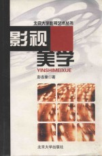 影视美学