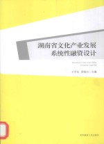 湖南省文化产业发展系统性融资设计