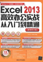 Excel 2013高效办公实战从入门到精通 视频教学版