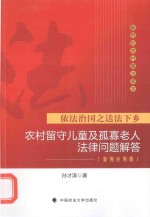 农村留守儿童及孤寡老人法律问题解答 案例应用版