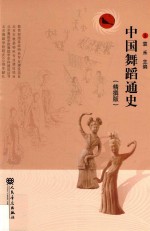 中国舞蹈通史 精撰版