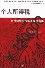 个人所得税自行纳税申报实务操作指南
