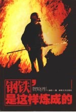 钢铁是这样炼成的