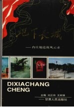 地下长城 冉庄地道战风云录