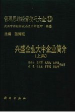 兴盛企业大中企业简介 上
