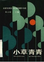 小草青青 天津市红桥区文化馆话剧团小品选
