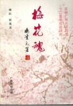 梅花魂 十二集电视连续剧