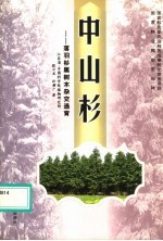 中山杉 落羽杉属树木杂交选育
